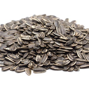 Sunflower Seeds (in shell) for Small Animals | HamsterEatery&#39;s Small Pet Treats