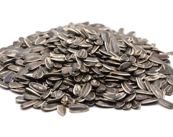 May include: A close-up of a pile of black sunflower seeds.