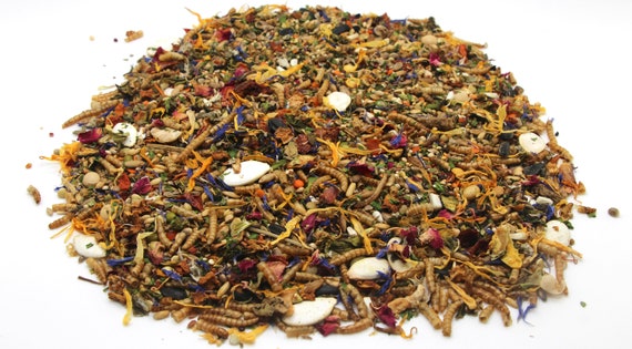 500g (1.1 lbs) Syrian Hamster Seed Mix | HamsterEatery