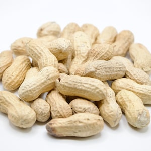 May include: A pile of unshelled peanuts, with a light brown color, on a white background.
