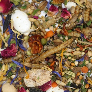 May include: A close-up of a variety of colorful, dried ingredients for a pet food mix. The mix includes dried fruits, vegetables, seeds, and insects.