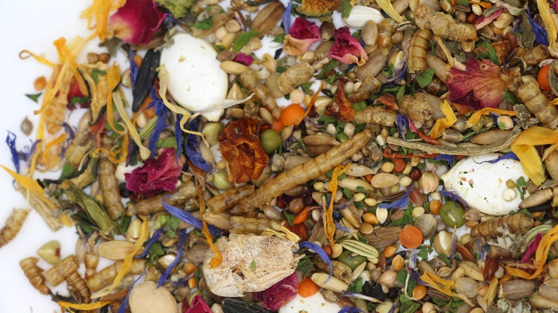 May include: A close-up of a variety of colorful, dried ingredients for a pet food mix. The mix includes dried fruits, vegetables, seeds, and insects.