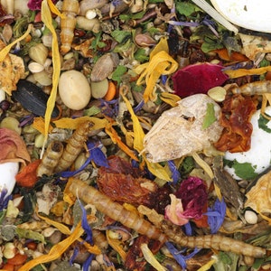 May include: A close-up of a mixture of dried fruits, seeds, and flowers. The mixture is a variety of colors, including orange, yellow, red, and blue. The mixture is likely a birdseed or a pet food.