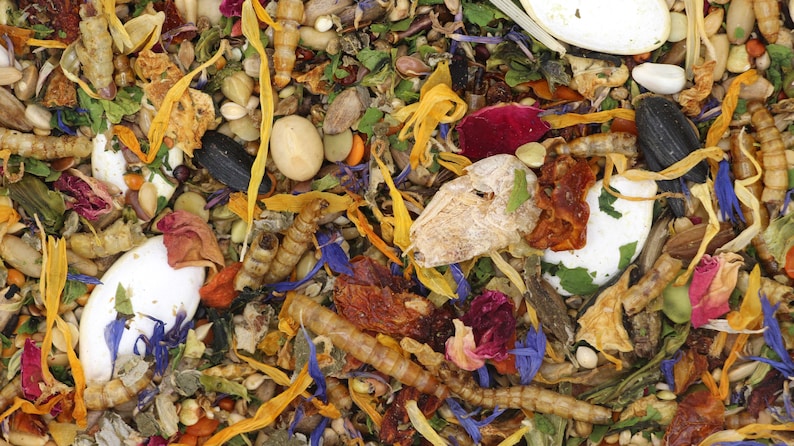 May include: A close-up of a mixture of dried fruits, seeds, and flowers. The mixture is a variety of colors, including orange, yellow, red, and blue. The mixture is likely a birdseed or a pet food.