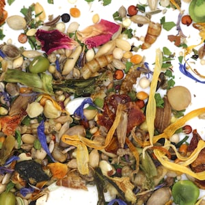May include: A close-up of a variety of colorful seeds, petals, and dried fruit pieces. The mixture includes orange, yellow, red, blue, and green elements. This is a mix of ingredients for a small animal's food.
