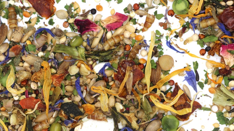 May include: A close-up of a variety of colorful seeds, petals, and dried fruit pieces. The mixture includes orange, yellow, red, blue, and green elements. This is a mix of ingredients for a small animal's food.