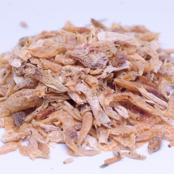 Dried Shrimp for Hamsters, Gerbils, Mice, & Rats | HamsterEatery