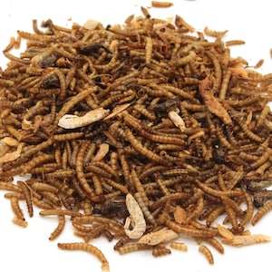 Gourmet Animal Protein Mix for Hamsters, Gerbils, Mice, & Rats | HamsterEatery&#39;s Small Pet Treats
