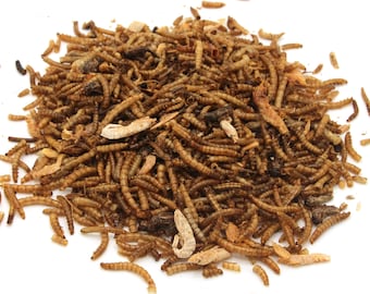 May include: A pile of dried mealworms, tan and brown in color, against a white background. The image shows a close-up of the worms, which are often used as a food source for reptiles, birds, and other pets.