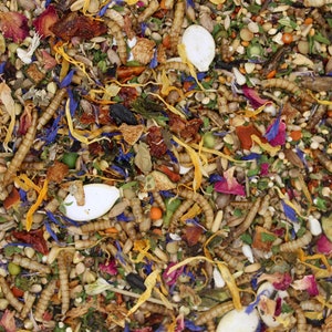 May include: A close-up of a mixture of dried foods, including seeds, nuts, dried fruit, and flowers. The mixture is a variety of colors, including brown, white, orange, yellow, red, and blue.