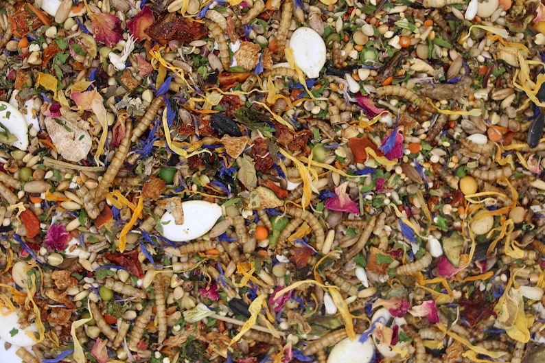 May include: A close-up of a mixture of dried foods, including seeds, nuts, dried fruit, and flowers. The mixture is a variety of colors, including brown, white, orange, yellow, red, and blue.