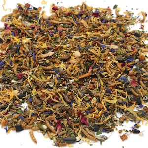 500g (1.1 lbs) Roborovski Hamster Seed Mix | HamsterEatery