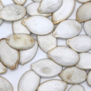 Pumpkin Seeds (in shell) for Small Animals | HamsterEatery&#39;s Small Pet Treats