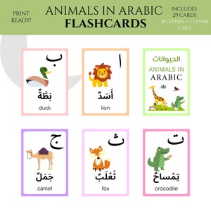 40 cartes éducatives vocabulaire arabe, les vêtements et les