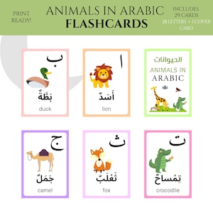 Dieren in Arabische Flashcards | Leerkaarten voor kinderen | Arabische woordenschat | Arabische woorden | Afdrukbare flashcards | Arabische leerkaarten |