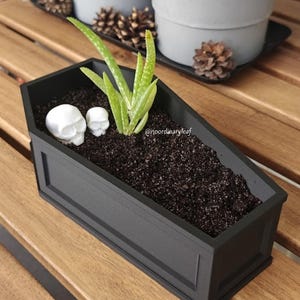 May include: A black coffin-shaped planter with soil, a green plant, and two white skull figurines. The planter is on a wooden surface. Other decorative items are in the background.