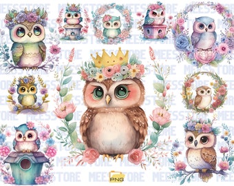 Set di 10, Clipart di gufo carino, PNG di gufo, gufo acquerello, arte del diario spazzatura, decorazione di album, PNG di sublimazione, download digitale, arte per bambini