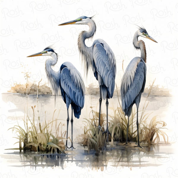 vintage blue heron png, bird oil painting, beach house decor, coastal wall art, instant downloads, vintage print png, blue heron painting