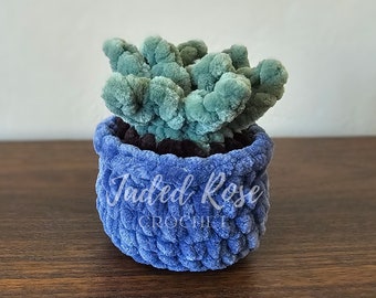 No Sew Mini Potted Succulent Plant- Crochet Pattern