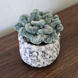 No Sew Small Potted Succulent Plant- Crochet Pattern