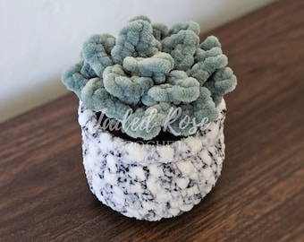 Petite plante succulente en pot sans couture - Patron au crochet