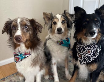 Dog Collar Bandana