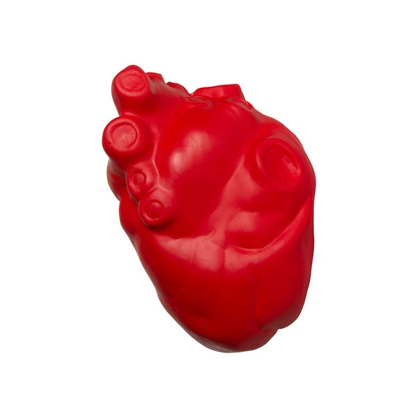 Stress Ball Anatomical Heart Stress Relief