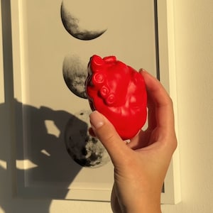 Stressball Anatomisches Herz Stressabbau