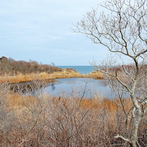 Winter Lake, Downloadable photo print, Nature Photography, Landscape photography, Instant download, Digital download