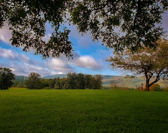 Könnte beinhalten: Ein grünes Grasfeld mit einer Reihe von Bäumen im Hintergrund. Der Himmel ist blau mit weißen Wolken. Die Bäume sind vor dem Himmel silhouettiert.
