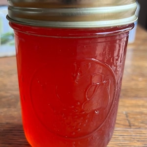 Prickly Pear Jelly (8 oz.)