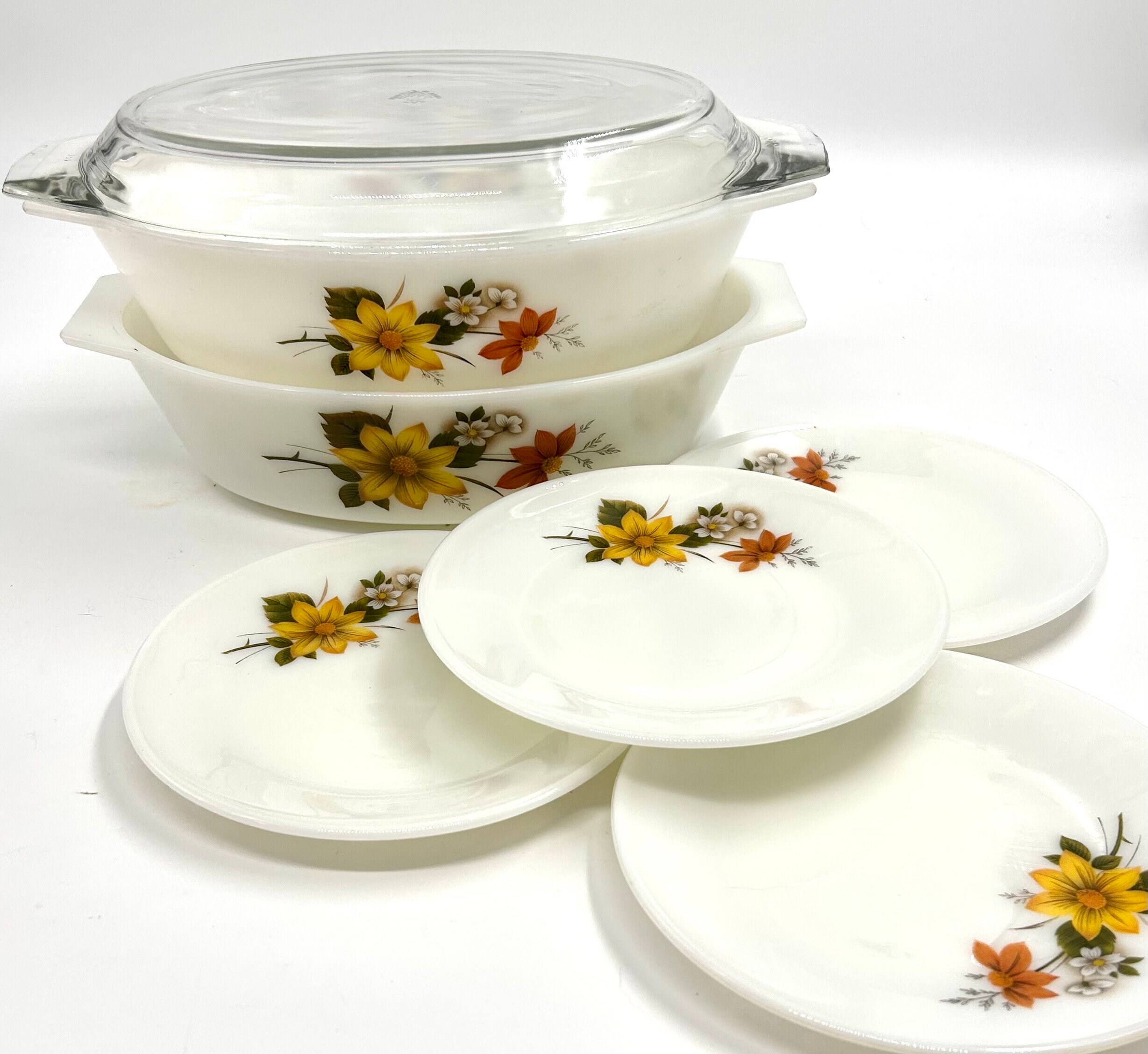 JAJパイレックス オータムグローリーシリーズ ディナープレート 6枚セット JAJパイレックス オータムグローリーシリーズ ディナープレート 6枚