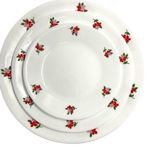 Vintage Corelle plates red and pink flowers open stock