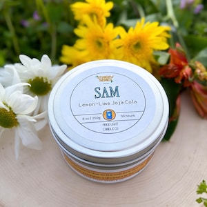 Sam: Lemon-Lime Joja Cola villager bachelor video game inspired 8oz soy wax scented candle with non-toxic glitter