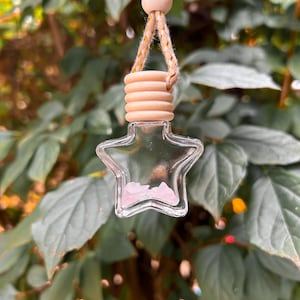 Stardew Valley Inspired Car Air Freshener Diffuser: Character Scents