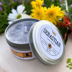 Sebastian: Late Nights villager bachelor video game inspired 8oz soy wax scented candle with non-toxic glitter image 3