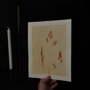 May include: A rectangular print on off-white paper featuring a botanical illustration of rust-colored grass stalks. To the left, a tall, slender white taper candle is held within a metallic, conical wall-mounted candle holder with a long, thin arm.