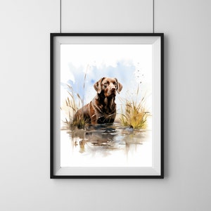 May include: Watercolor painting of a chocolate Labrador Retriever standing in a body of water with tall grass surrounding it. The dog is looking directly at the viewer.
