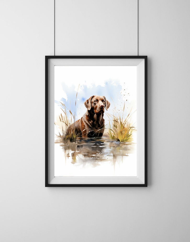 May include: Watercolor painting of a chocolate Labrador Retriever standing in a body of water with tall grass surrounding it. The dog is looking directly at the viewer.