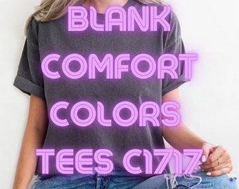 Comfort Colors® Blank Shirt, Comfort Colors Tee, Blank T-Shirt, Comfort Colors T-Shirt