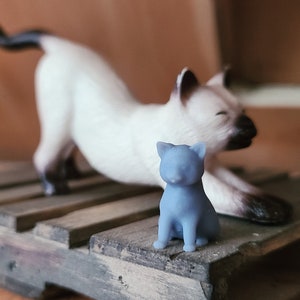 Op de afbeelding: Een wit en zwart Siamese kattenbeeldje strekt zich uit op een houten pallet. Een kleiner, blauw kattenbeeldje zit voor de grotere kat.