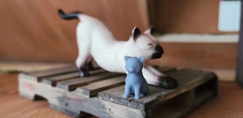 Op de afbeelding: Een wit en zwart Siamese kattenbeeldje strekt zich uit op een houten pallet. Een kleiner, blauw kattenbeeldje zit voor de grotere kat.