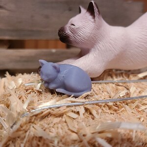 Op de afbeelding: Een klein, grijs, slapende kattenbeeldje op een bed van stro met een groter wit kattenbeeldje op de achtergrond.