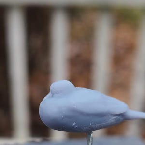 Dove Pair - Unpainted 3D Printed 1:9 Scale Resin Pigeon Bird Figures for Breyer Barns or Dollhouses
