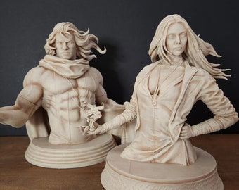 Magneto and Scarlet Witch Set