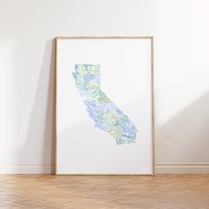 Puede incluir: Una impresión enmarcada de un contorno estilizado del estado de California, lleno de formas abstractas azules y verdes.