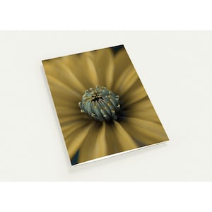 Bright Yellow Flower Greeting Card Pack – 10 Personalized 5x7 Cards with Envelopes