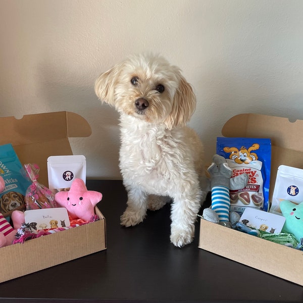 Doggy Dream Gift Box - 6 items