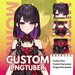 Pngtuber | Benutzerdefinierte Pngtuber | Niedlicher Pngtuber | Pngtuber Modell | Live2d Pngtuber | Live2d Auftragsarbeit | Geschenküber