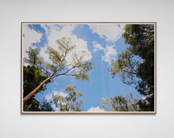 Digital Print Download | Australian Outback Photo | Home Decor | Wall Art | National Park Photo | Printable Landscape | Tree Bush Art Print